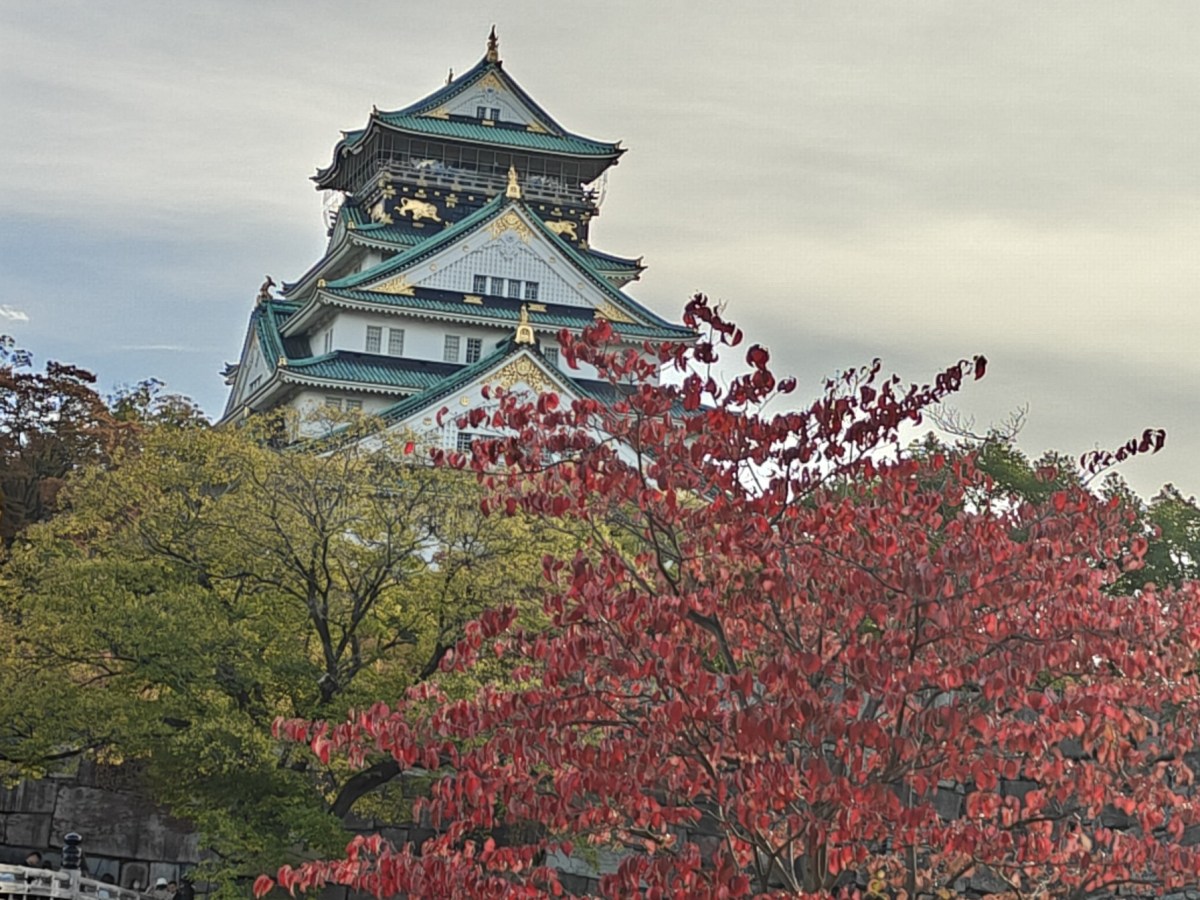 The Beauty of Osaka Castle’s Gardens and&nbsp;Architecture