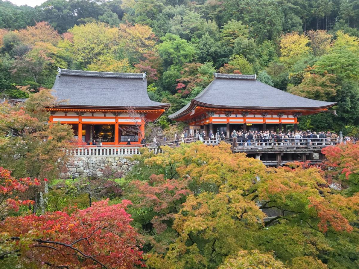 Kyoto’s spiritual escapes…. Arashiyama Bamboo grove and Kiyomizu-dera&nbsp;temple